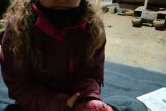 IMG-20230213-WA0034