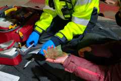 IMG-20230213-WA0043