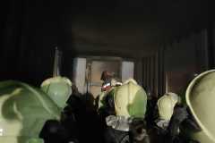 IMG-20220924-WA0081