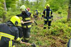 IMG-20230513-WA0004