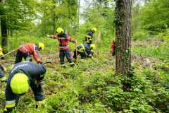IMG-20230513-WA0036