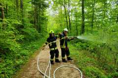 IMG-20230513-WA0045