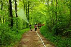 IMG-20230513-WA0046