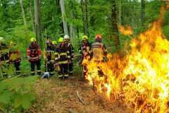 IMG-20230513-WA0050
