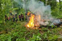 IMG-20230513-WA0051
