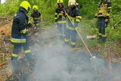 IMG-20230513-WA0053