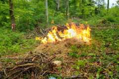 IMG-20230513-WA0054