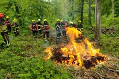 IMG-20230513-WA0056