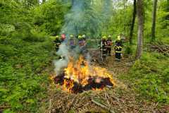 IMG-20230513-WA0057