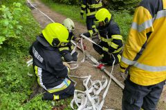 IMG-20230513-WA0182