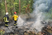 Flächenbrand Pantli