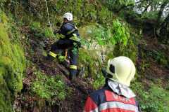 IMG-20210517-WA0037