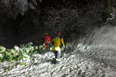 IMG-20210114-WA0012