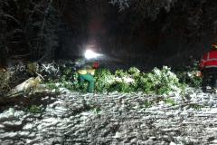 IMG-20210114-WA0013