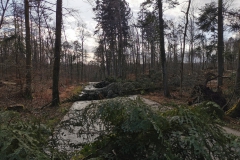 IMG_20200210_133132