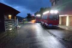 IMG-20210629-WA0004